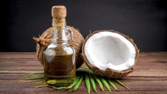 Minyak kelapa dapat menjadi bahan alami mengatasi karang gigi
