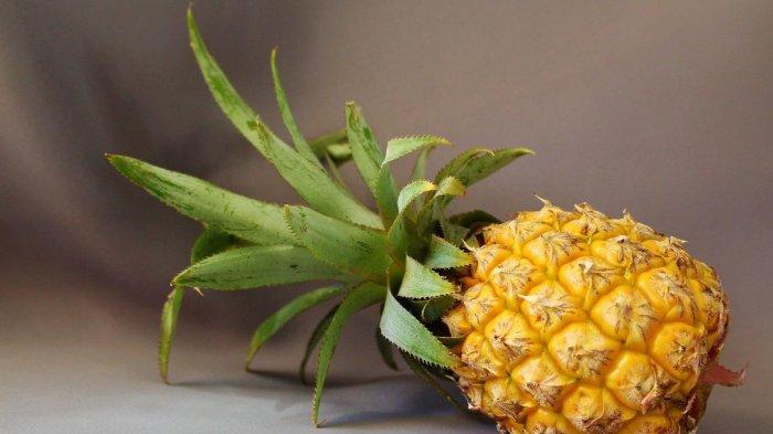 Nanas bisa jadi bahan alami untuk mengatasi mata ikan.