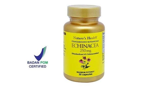 Nature’s Health Echinacea
