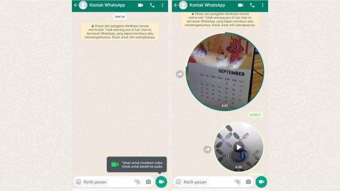 Fitur pesan video instan WhatsApp sudah bisa dicoba pengguna WA di Indonesia