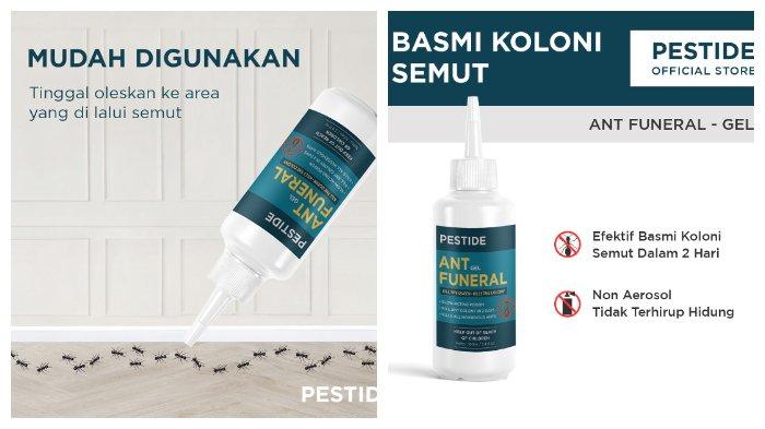 Pestide Ant Funeral