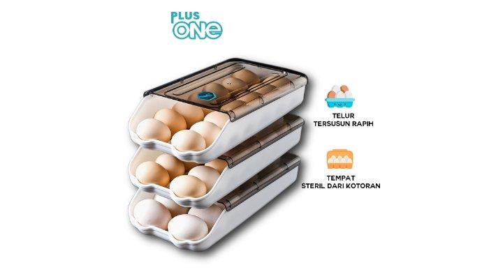 Plus Egg Box 1 Susun 1062