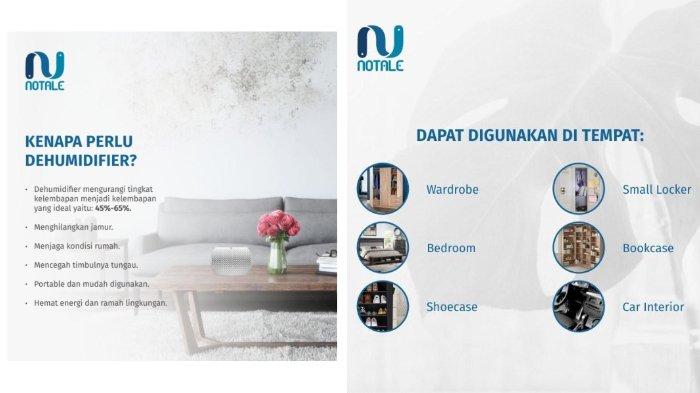 NOTALE Mini Dehumidifier Air Dryer ciptakan kelembapan ideal hingga atasi masalah jamur dan tungau
