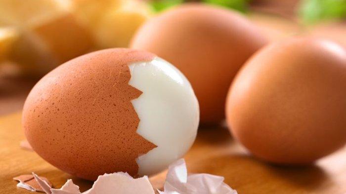 Ilustrasi telur rebus yang tidak boleh dipanaskan dalam microwave karena bisa membuatnya meledak.