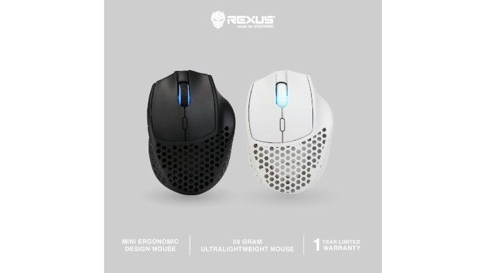 REXUS DAXA Air Mini