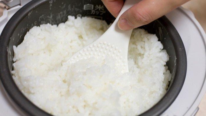 Anak kos pasti tau rice cooker adalah salah satu benda yang penting untuk digunakan sehari-hari yang dapat digunakan untuk memasak nasi sebagai makanan sehari-hari.