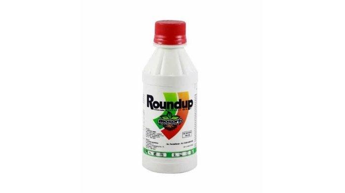 Roundup 200ml racun pembasmi rumput