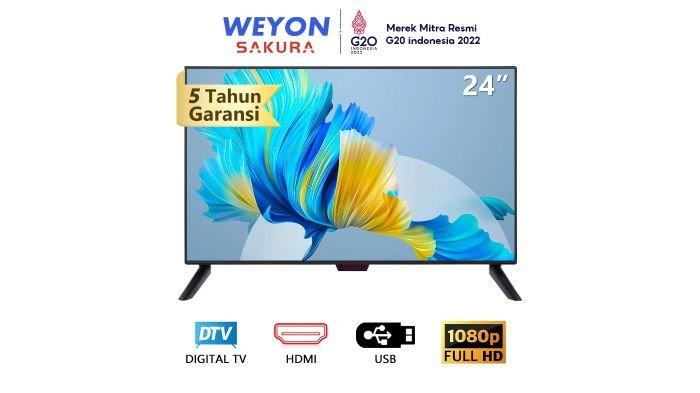 Sakura TV TCLG-S24A