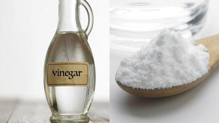 Ilustrasi cuka dan baking soda.