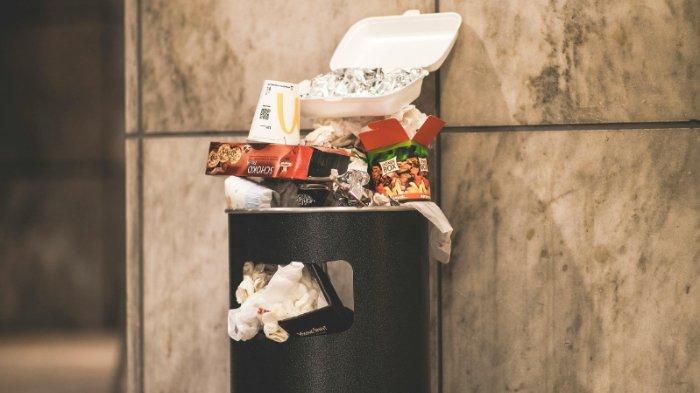 Sampah yang menumpuk menjadi salah satu faktor serangga berkembang biak