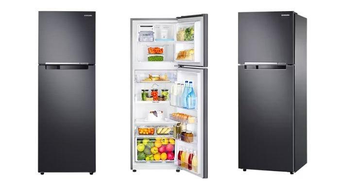 SAMSUNG RT25FARBDB1