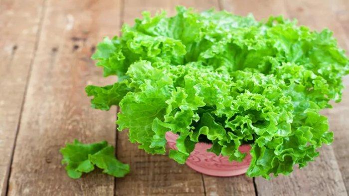 Selada air dapat membantu meningkatkan Kekebalan Tubuh