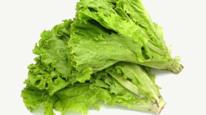 Selada air dapat menjaga Kesehatan Tulang