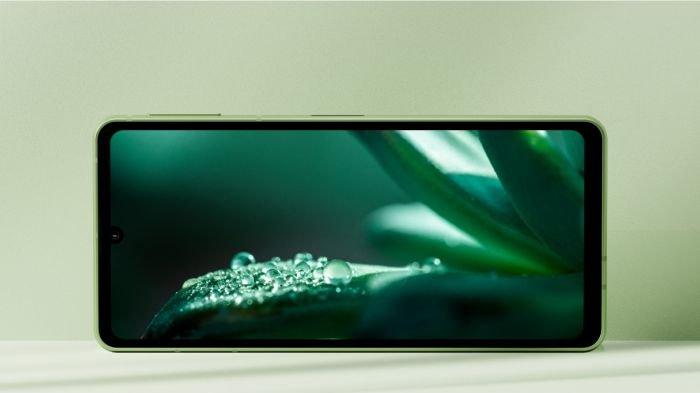 SHARP AQUOS sense8 hadir menyuguhkan panel IGZO OLED 6,1 inch