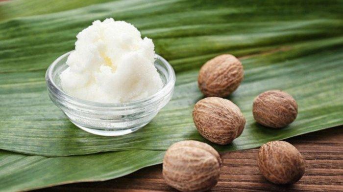 Shea butter memiliki banyak manfaat untuk kecantikan mulai dari melembapkan hingga mengatasi sunburn.