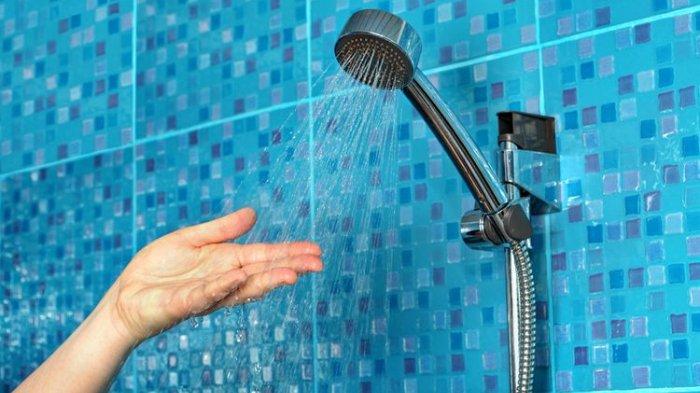 Kepala shower yang kotor dan tersumbat bisa dibersihkan dengan sitrun.