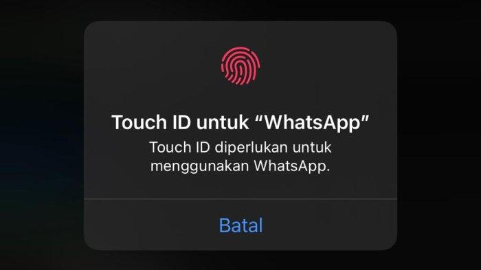 Ilustrasi Pemindai Sidik Jari WhatsApp