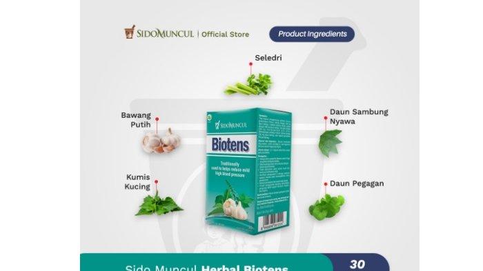 Biotens dari Sidomuncul: Obat Hipertensi