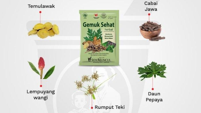 SIDOMUNCUL Jamu Gemuk Sehat 