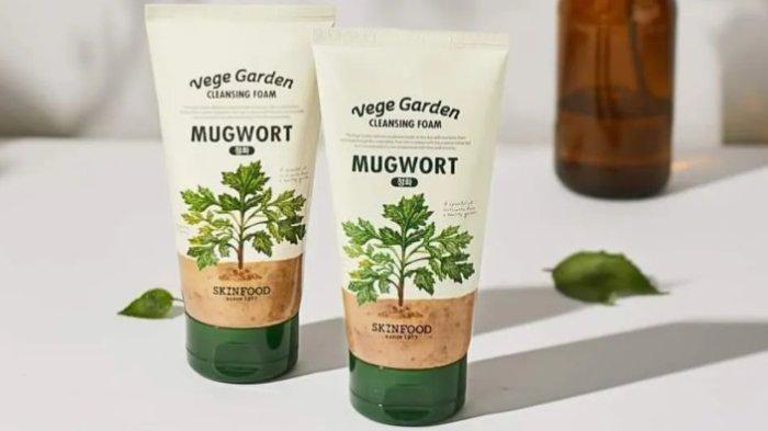 SKINFOOD Vege Garden Cleansing Foam Mugwort