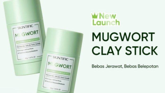 SKINTIFIC Mugwort Acne Clay Stick