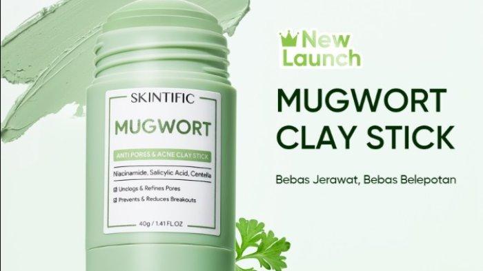 SKINTIFIC Mugwort Acne Clay Stick