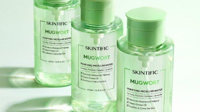 SKINTIFIC Mugwort Purifying Micellar Water