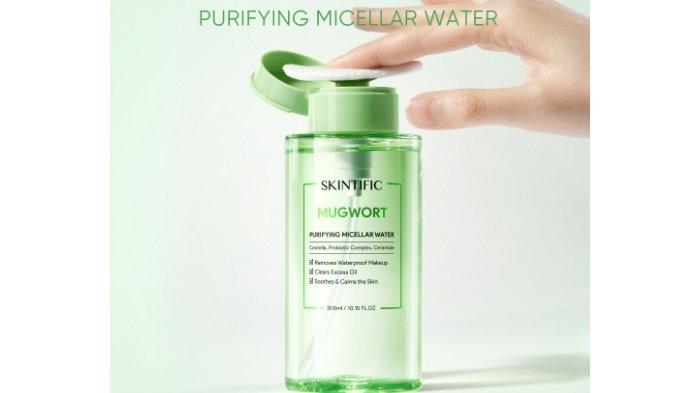 SKINTIFIC Mugwort Purifying Micellar Water