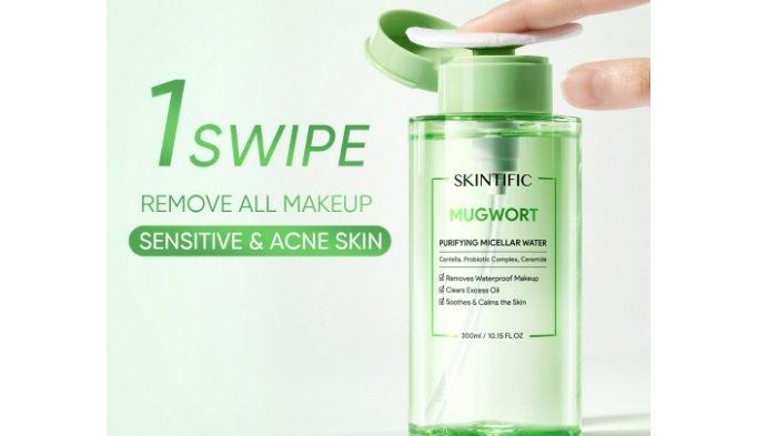 SKINTIFIC Mugwort Purifying Micellar Water