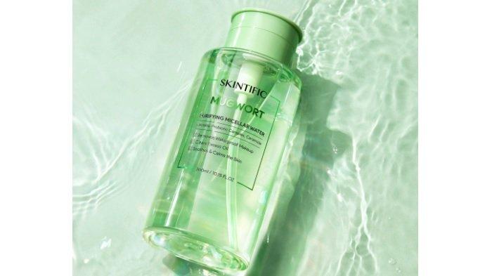 SKINTIFIC Mugwort Purifying Micellar Water