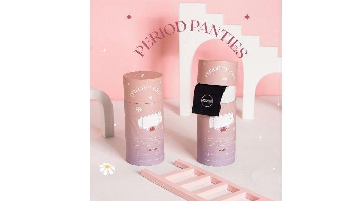 SpringSummerStyle Period Panties