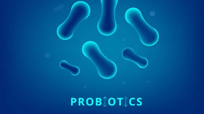 Bisa jadi sumber probiotik alami