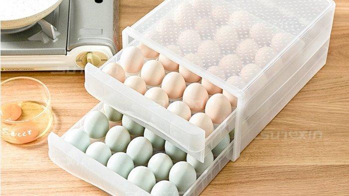 SUNXIN Egg Box beragam model.