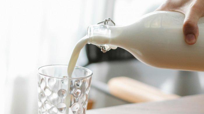 Minum susu juga baik untuk bantu meningkatkan trombosit.