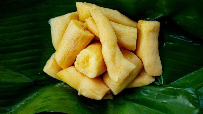 Tape Singkong Madu 1 kg