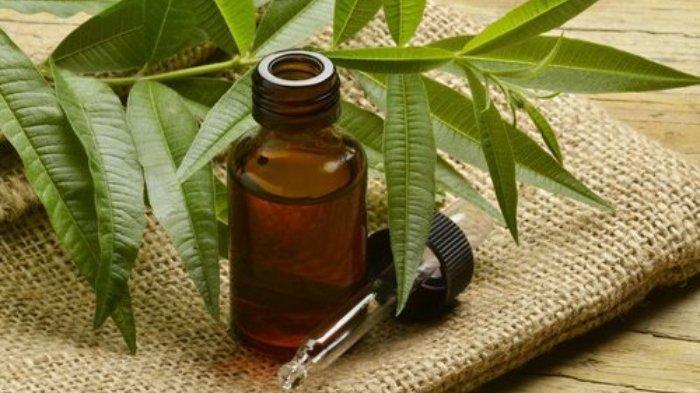 Tea Tree Oil bisa menjadi salah satu cara untuk mengatasi kutil