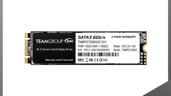 TEAMGROUP MS30 M.2 SATA SSD