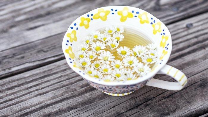 Ilustrasi teh chamomile