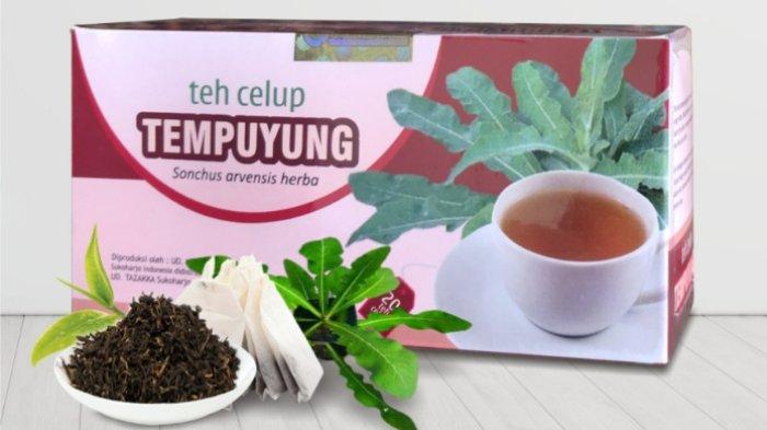 Teh Daun Tempuyung Tazakka untuk Hipertensi
