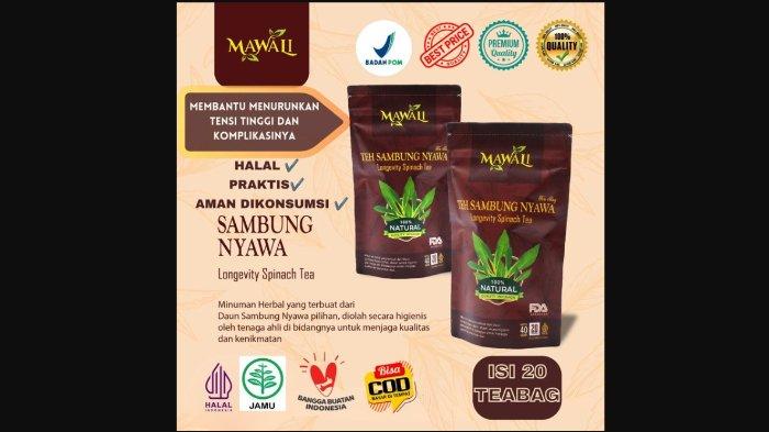 Teh herbal Sambungnyawa