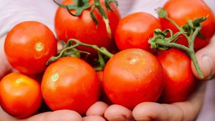 Tomat punya segudang manfaat untuk tubuh.