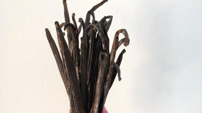 Ilustrasi vanila yang punya aroma khas.