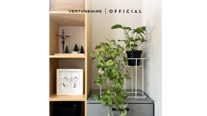 Verturewire x ruma.ciel.