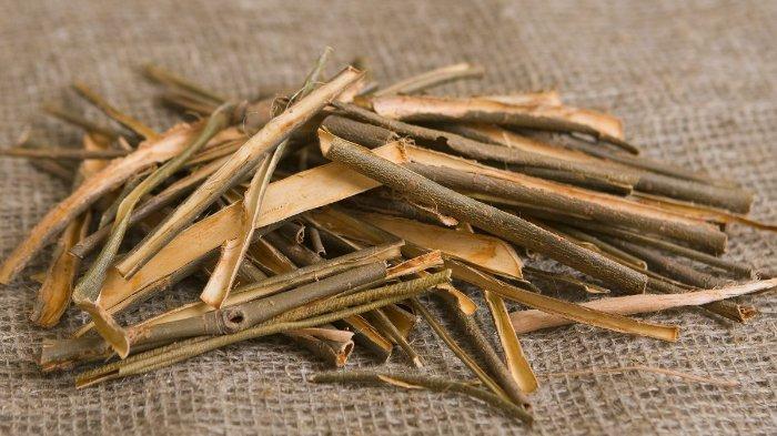 Ilustrasi willow bark