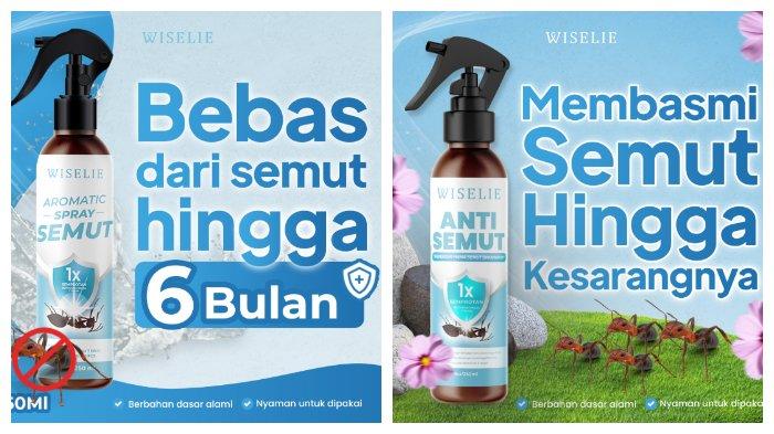 Wiselie Anti Semut
