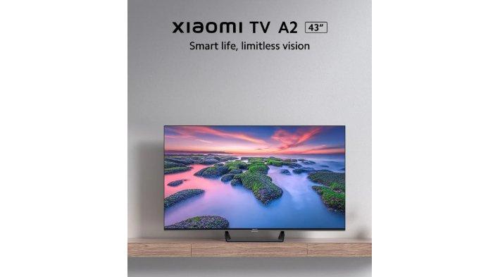 Xiaomi A2 Smart TV 43 Inci