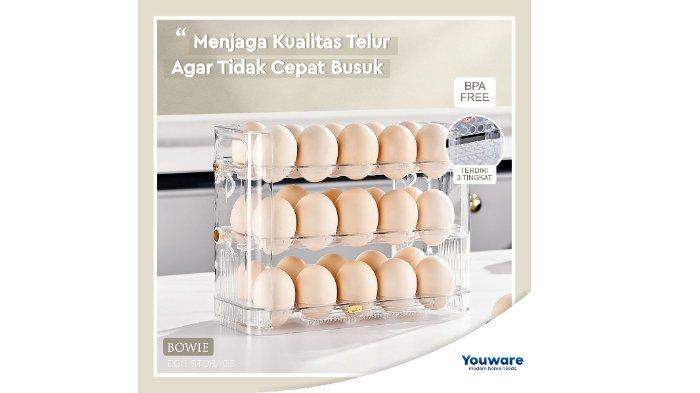 Youware - Bowie Box Telur.