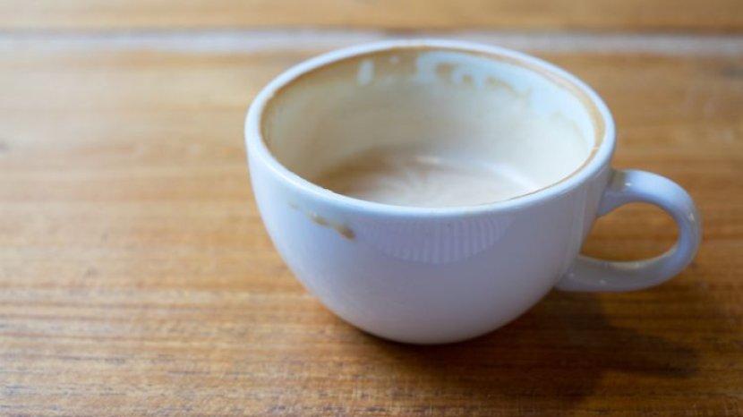 2 Bahan Alami Penghilang Noda Kopi di Cangkir, Ampuh dan Tanpa Bekas