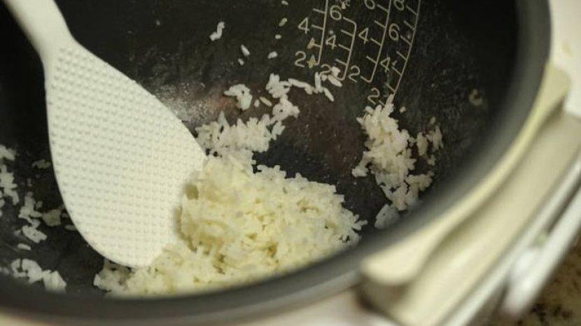 Cara Mengatasi Kerak Nasi di Panci Rice Cooker, Tidak Membuat Permukaan Mengelupas