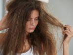 Rambut Kering Mengembang seperti Singa? Ini 40 Daftar Shampoo Terbaik untuk Mengatasinya